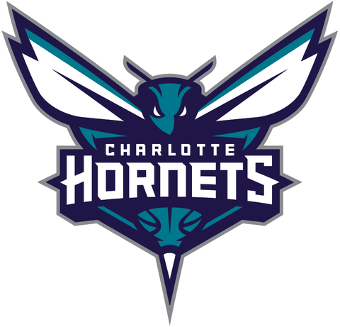 Charlotte Hornets NBA team logo featuring stylized hornet with wings spread