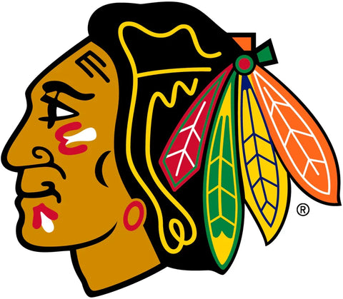 Hockey team logo featuring a colorful profile of a person with feathers and face paint
