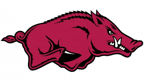 Arkansas Razorbacks logo featuring a red wild boar on a black background, NCAA sports mascot.