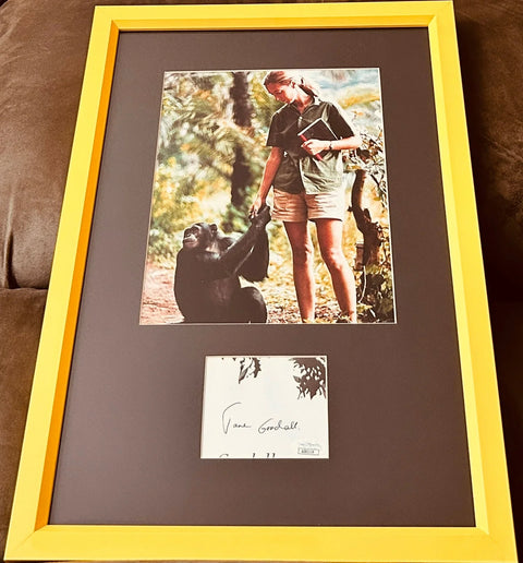 Framed memorabilia featuring a woman with a chimpanzee and an autograph display
