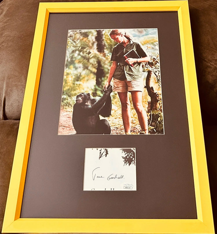 Framed memorabilia featuring a woman with a chimpanzee and an autograph display