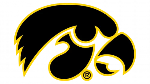 Iowa Hawkeyes black and gold logo with hawk head on a transparent background