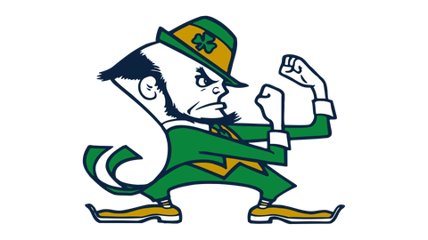Cartoon leprechaun mascot in green suit, yellow hat with shamrock, fists raised, sports logo
