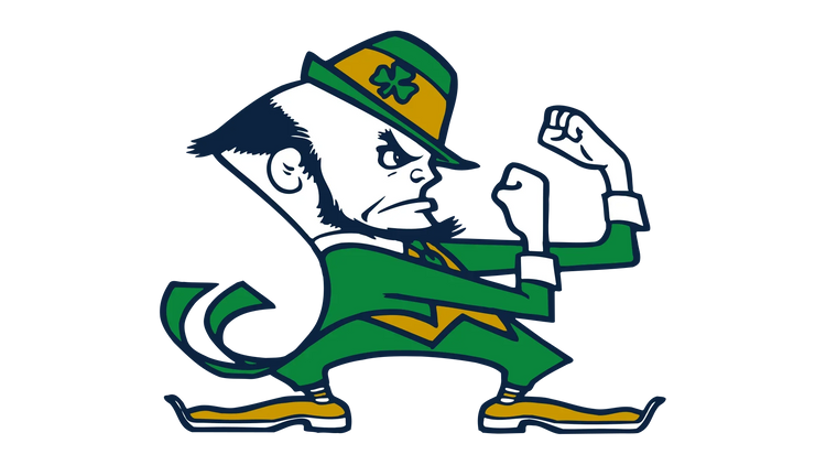 Cartoon leprechaun mascot in green suit, yellow hat with shamrock, fists raised, sports logo