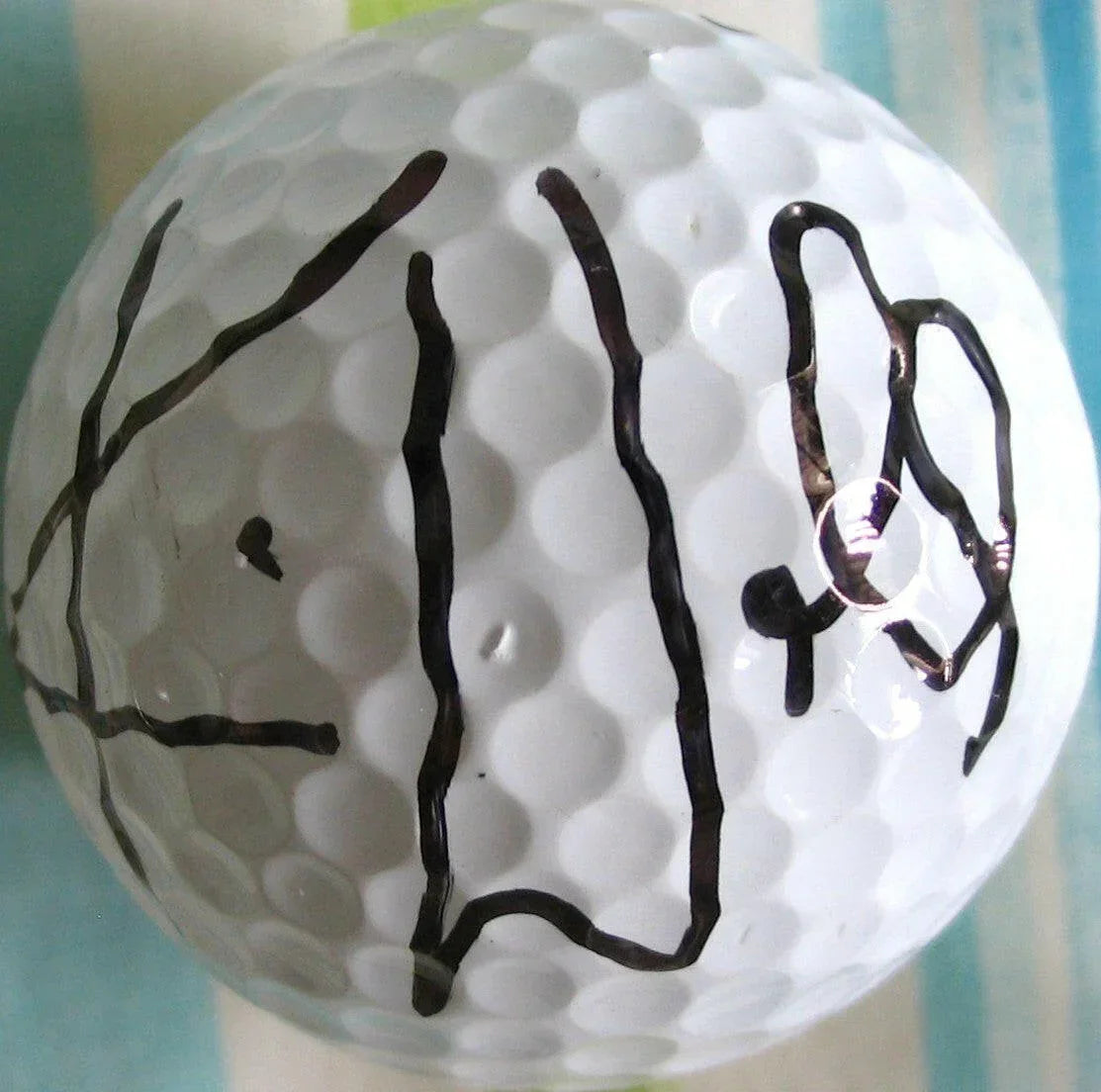 Karrie Webb autographed golf ball - AutographsForSale.com