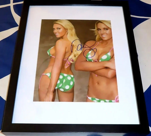 Natalie Gulbis signed Sports Illustrated Swimsuit 8x10 photo framed - AutographsForSale.com