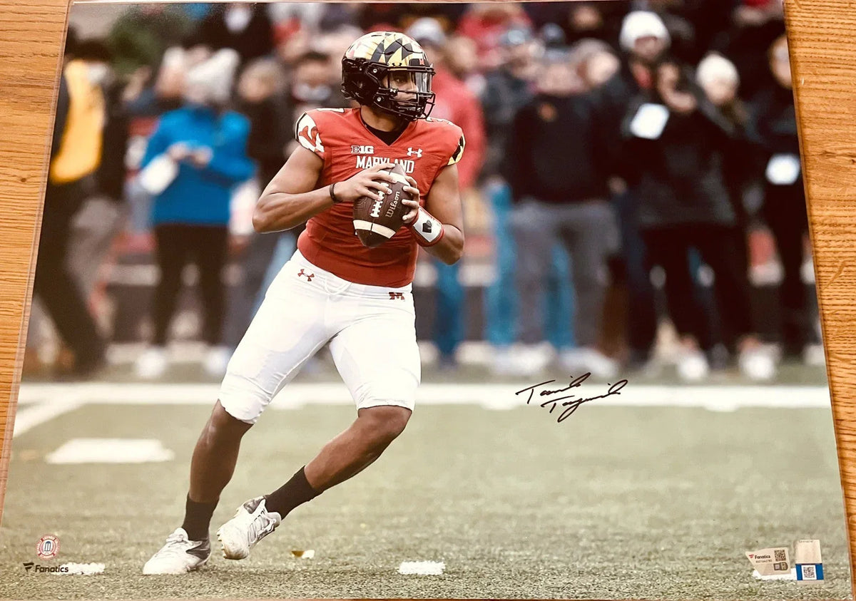 Taulia Tagovailoa signed Maryland 16x20 poster or photo Fanatics - AutographsForSale.com