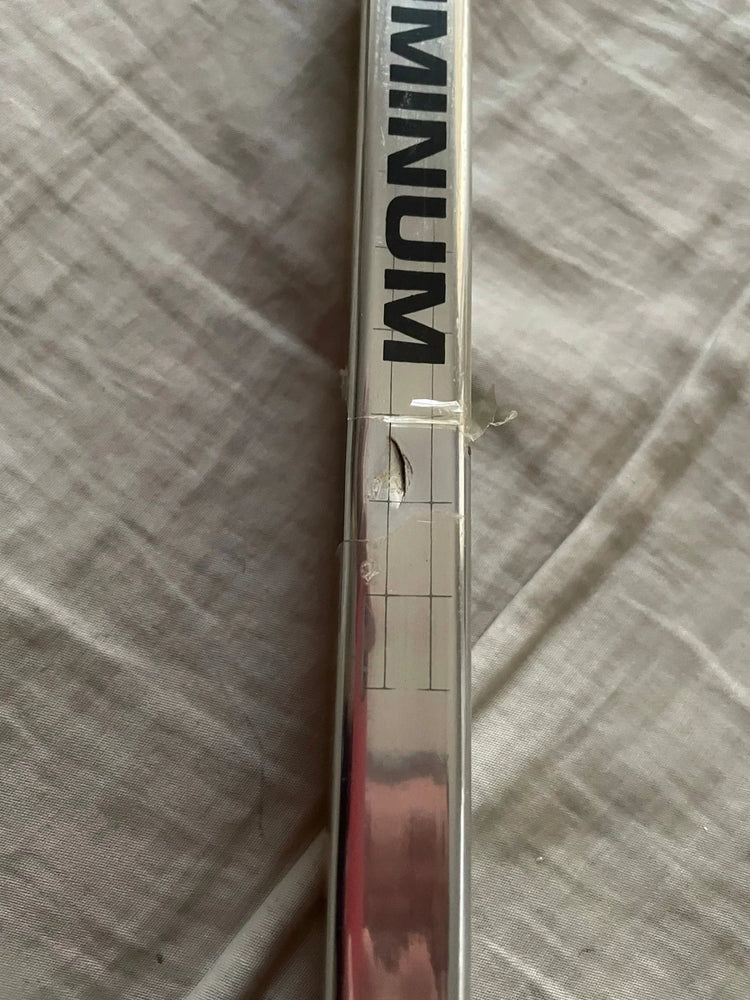 Wayne Gretzky signed LA Kings Easton game issued hockey stick JSA dent - AutographsForSale.com