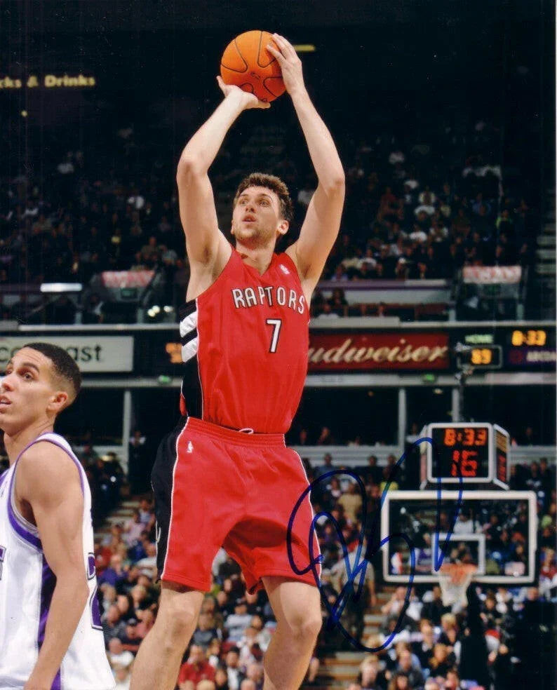 Andrea Bargnani autographed Toronto Raptors 8x10 photo - AutographsForSale.com
