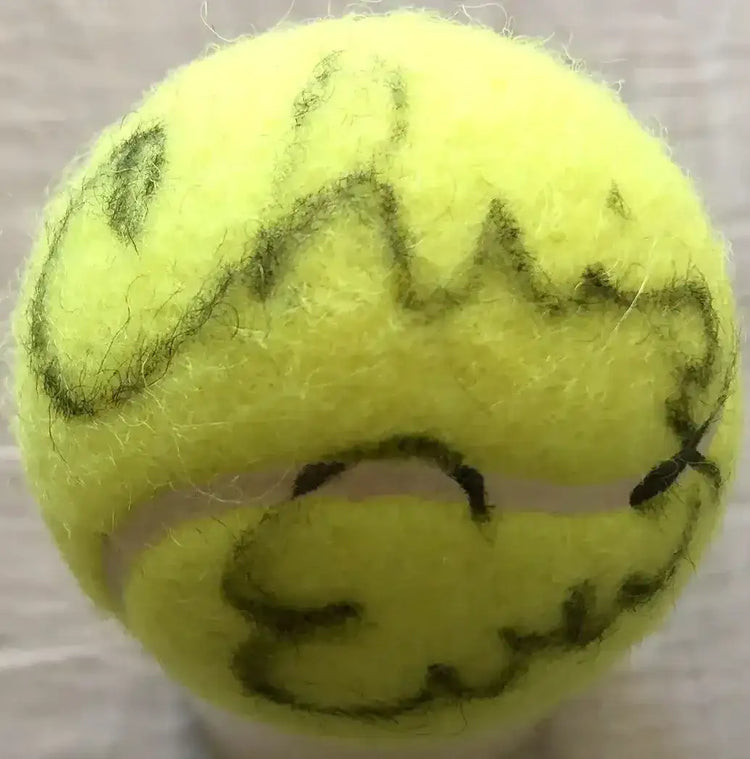 Chris Evert autographed tennis ball - AutographsForSale.com