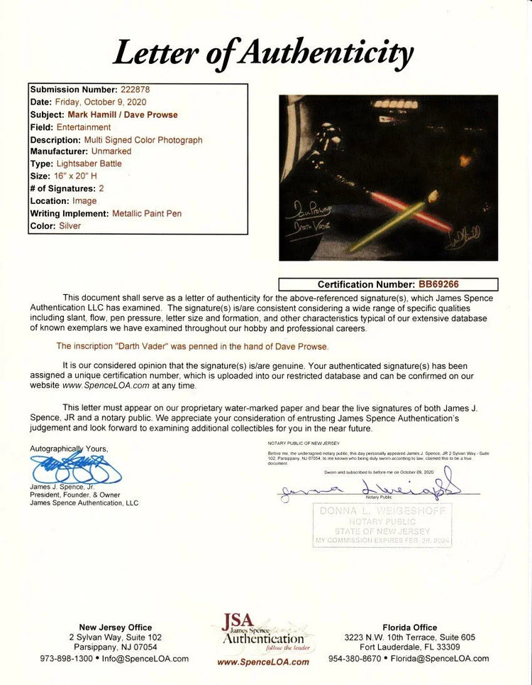 Mark Hamill & Dave Prowse signed Star Wars Return of Jedi 16x20 poster JSA - AutographsForSale.com