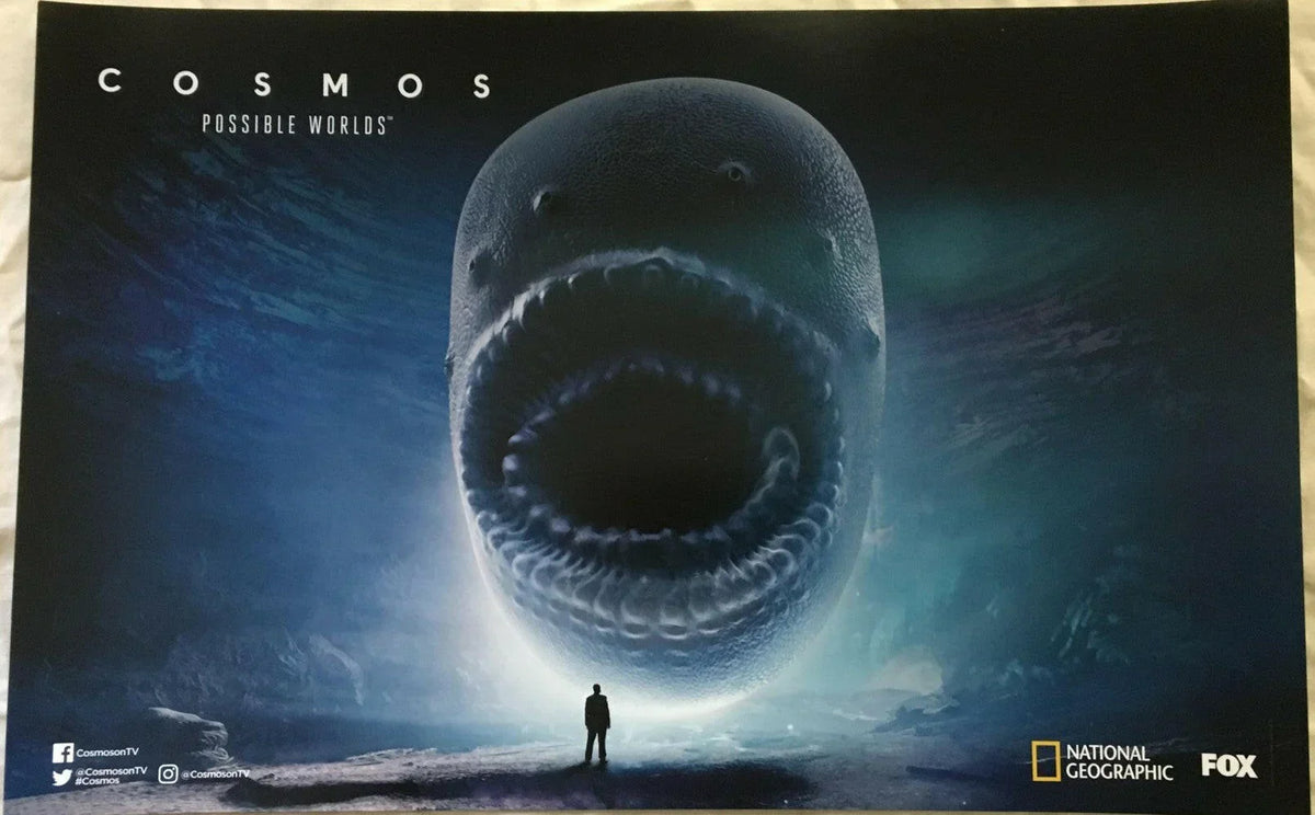 Cosmos Possible Worlds 2018 SDCC 11x17 poster Neil deGrasse Tyson - AutographsForSale.com