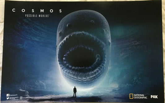 Cosmos Possible Worlds 2018 SDCC 11x17 poster Neil deGrasse Tyson - AutographsForSale.com