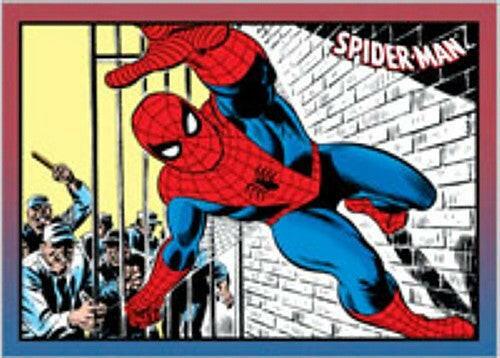 Spider-Man Archives 2009 San Diego Comic-Con Rittenhouse promo card SD09 - AutographsForSale.com