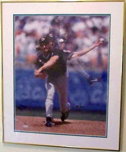 Randy Johnson signed Diamondbacks 16x20 poster or photo framed UDA - AutographsForSale.com