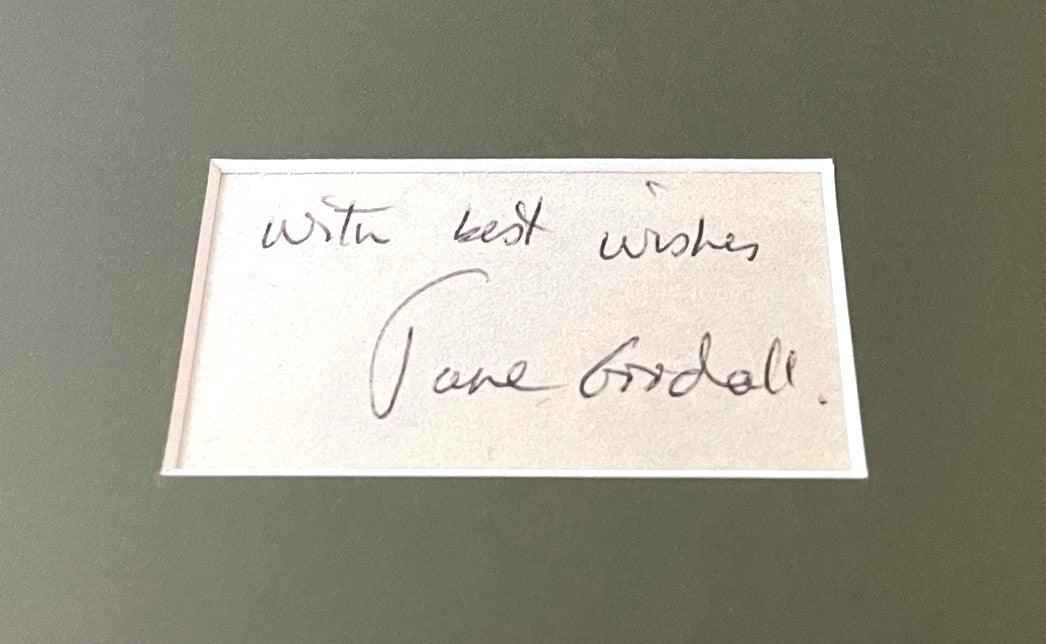 Jane Goodall autograph framed with 8x10 photo inscribed with best wishes (JSA) - AutographsForSale.com