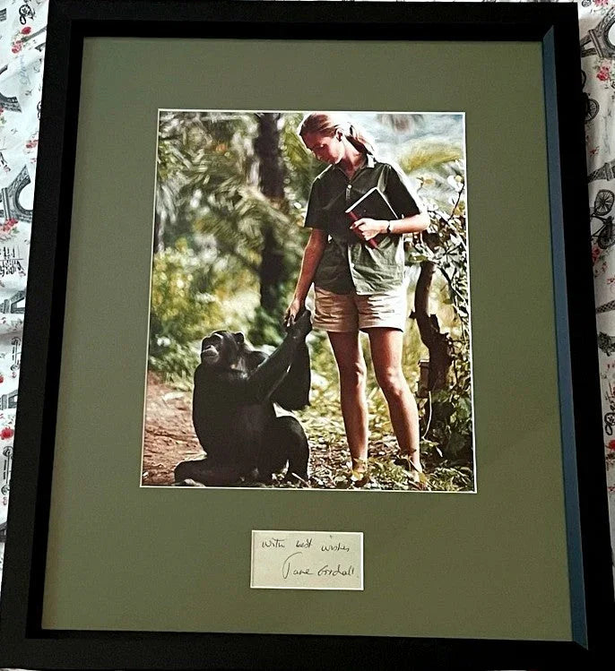 Jane Goodall autograph framed with 8x10 photo inscribed with best wishes (JSA) - AutographsForSale.com