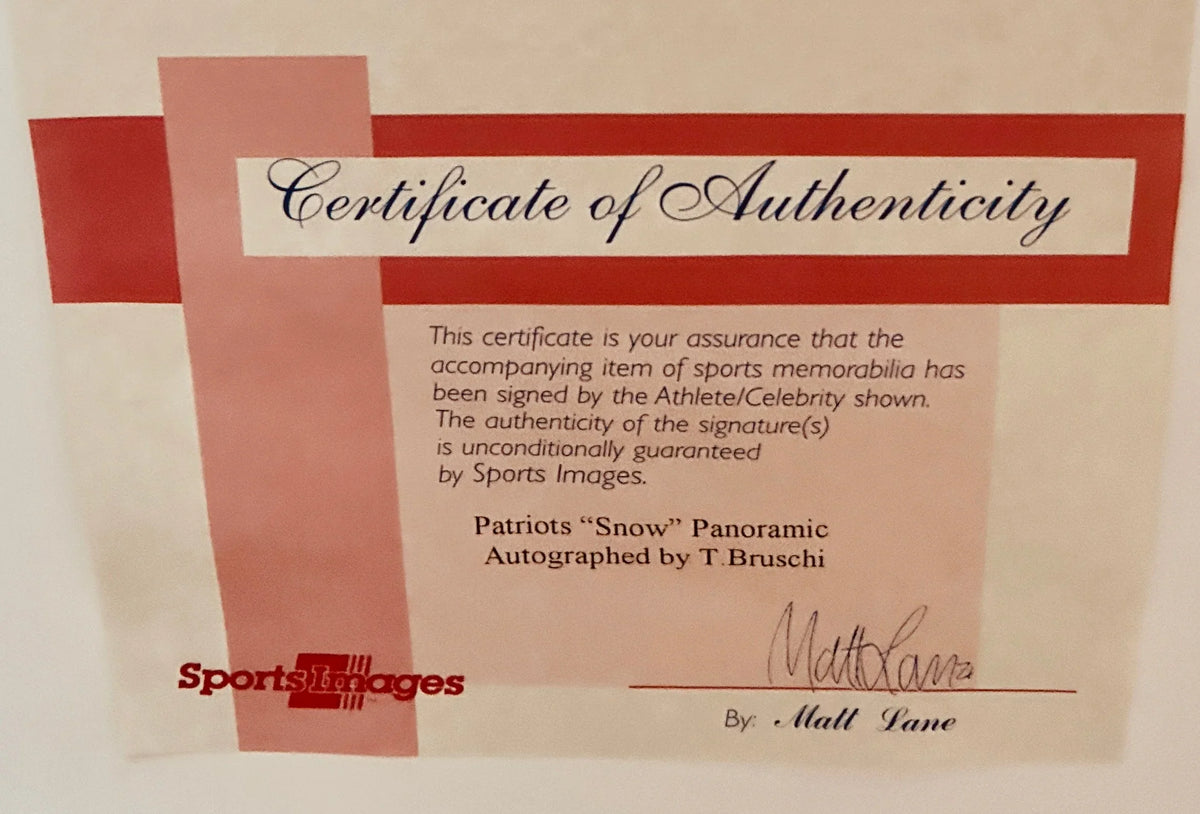 Tedy Bruschi signed 2003 Patriots Snow Game Win photo montage framed - AutographsForSale.com