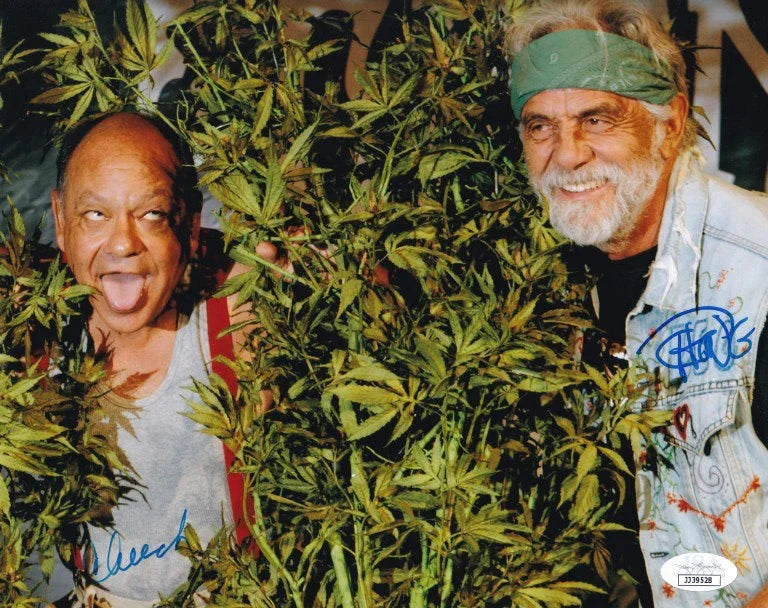 Cheech Marin & Tommy Chong autographed 8x10 weed photo JSA - AutographsForSale.com