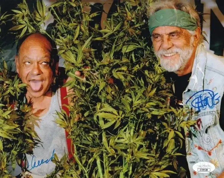 Cheech Marin & Tommy Chong autographed 8x10 weed photo JSA - AutographsForSale.com