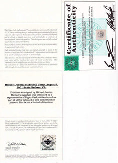 Michael Jordan Magic Johnson signed 1991 NBA Finals 16x20 poster photo framed UDA - AutographsForSale.com