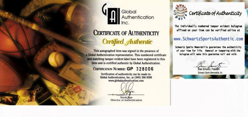 Larry Bird & Magic Johnson signed 16x20 poster or photo Schwartz - AutographsForSale.com