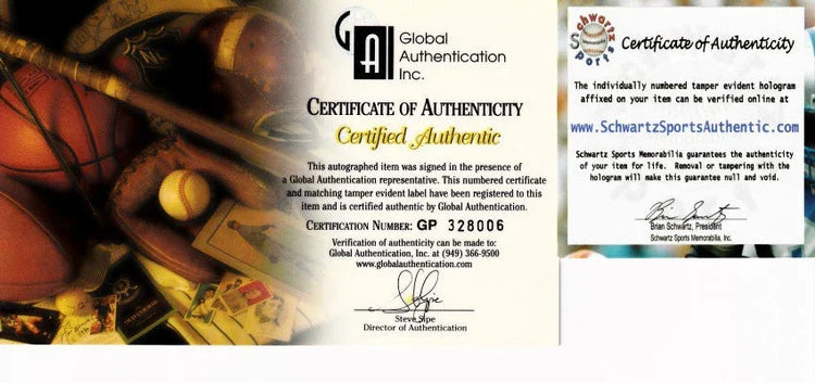 Larry Bird & Magic Johnson signed 16x20 poster or photo Schwartz - AutographsForSale.com