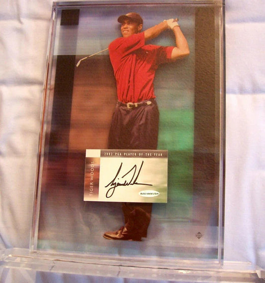 Tiger Woods signed UDA 2002 PGA Tour Player of Year 8x10 photo acrylic plaque - AutographsForSale.com