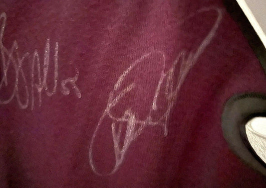 2013-14 Anaheim Ducks team signed CCM jersey Ryan Getzlaf Teemu Selanne - AutographsForSale.com