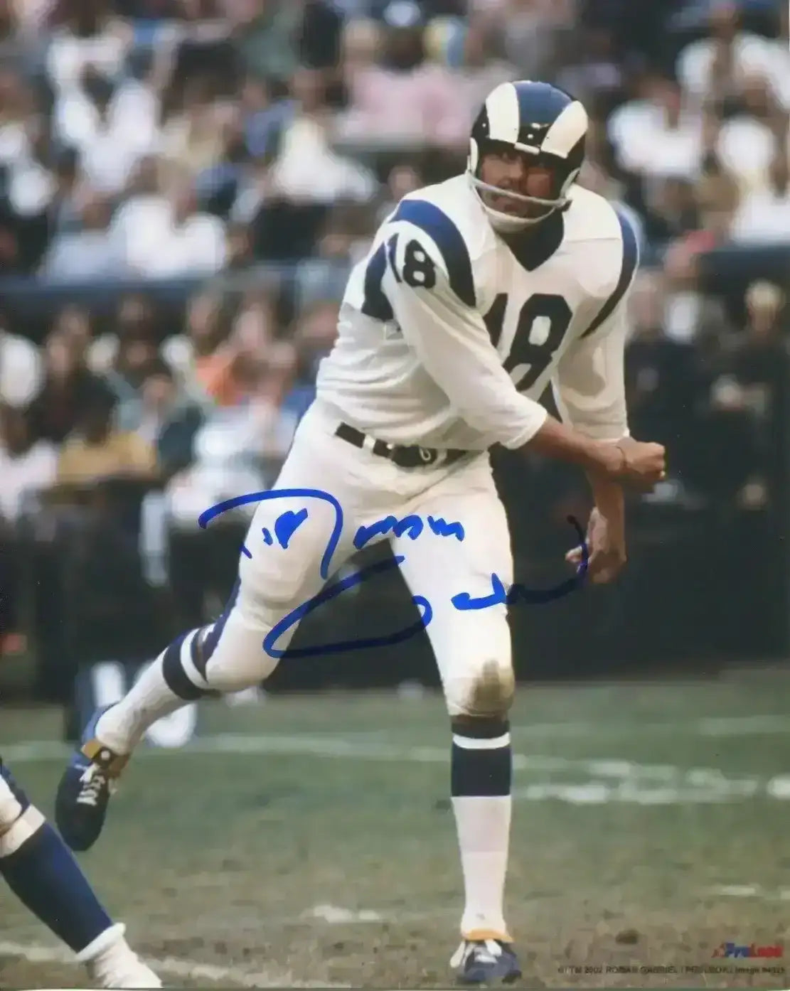 Roman Gabriel autographed Los Angeles Rams 8x10 photo