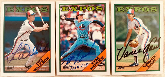 3 signed Expos 1988 Topps cards Tim Burke Vance Law Tim Wallach - AutographsForSale.com