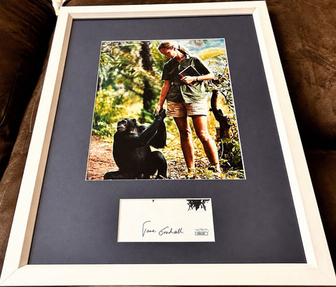 Framed photo of Jane Goodall with chimpanzee, signed autograph memorabilia