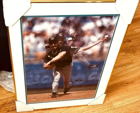 Randy Johnson signed Diamondbacks 16x20 poster photo framed UDA - AutographsForSale.com