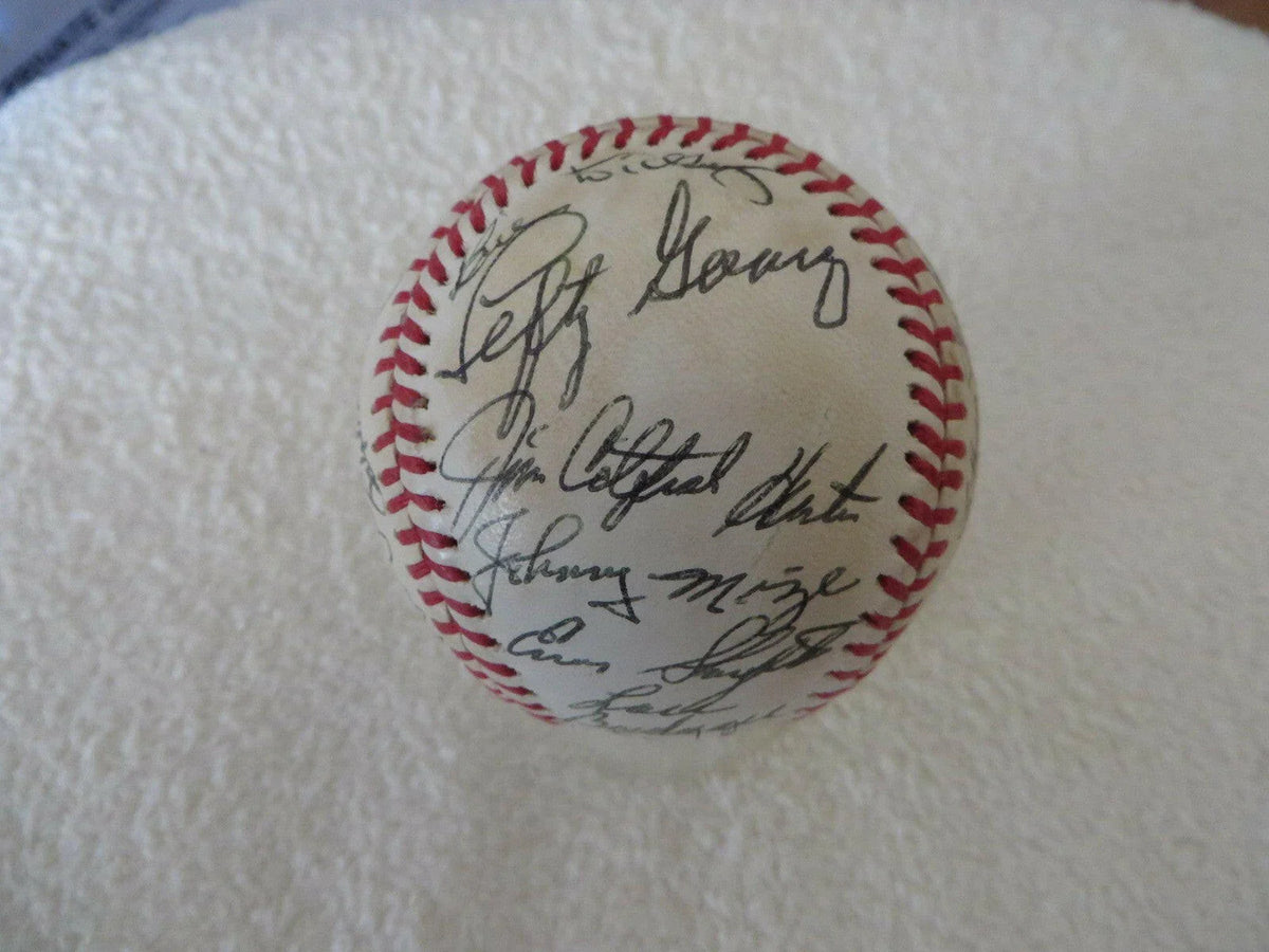 25 Hall of Famers signed NL baseball Ted Williams Ernie Banks Lefty Gomez Stan Musial Pee Wee Reese JSA - AutographsForSale.com