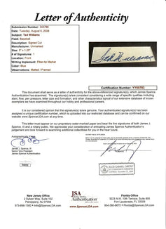 Ted Williams autograph framed Red Sox Sports Illustrated cover JSA - AutographsForSale.com