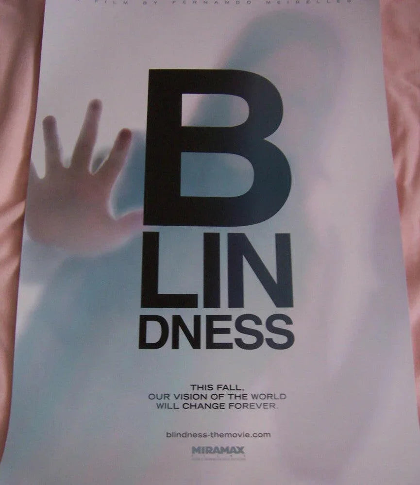 Blindness mini 2008 movie poster Julianne Moore Mark Ruffalo - AutographsForSale.com