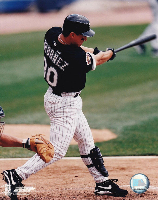 Magglio Ordonez set of 2 Chicago White Sox 8x10 photos - AutographsForSale.com