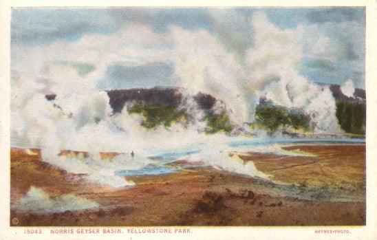 Yellowstone National Park Norris Geyser Basin vintage 1930s postcard - AutographsForSale.com