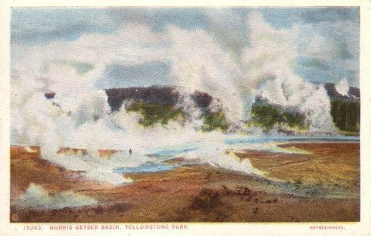 Yellowstone National Park Norris Geyser Basin vintage 1930s postcard - AutographsForSale.com