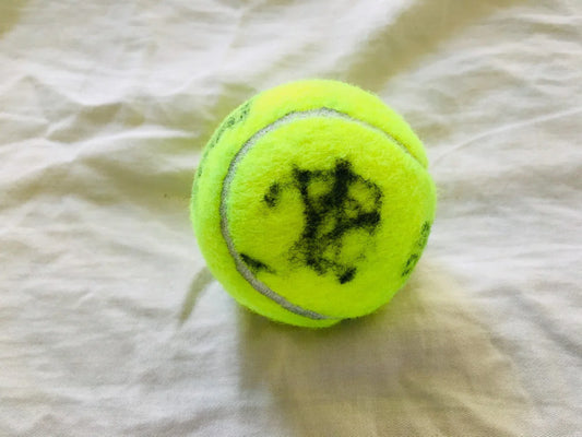 Petra Kvitova autographed 2019 Miami Open tennis ball - AutographsForSale.com