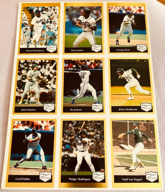 Ken Griffey Bo Jackson Cal Ripken Nolan Ryan 1991 Sports Educational 18 card set - AutographsForSale.com
