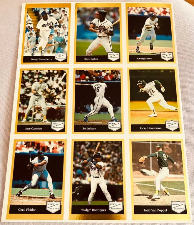 Ken Griffey Bo Jackson Cal Ripken Nolan Ryan 1991 Sports Educational 18 card set - AutographsForSale.com