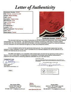 Wayne Gretzky signed 1999 NHL All-Star NY Rangers CCM jersey framed JSA - AutographsForSale.com