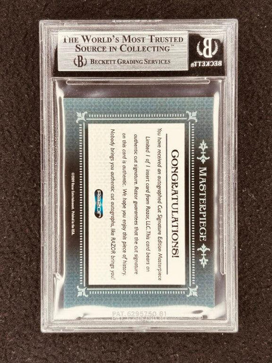 Amber Tamblyn 2009 Razor (Leaf) Masterpiece Cut Signature certified autograph card 1/1 Joan of Arcadia - AutographsForSale.com