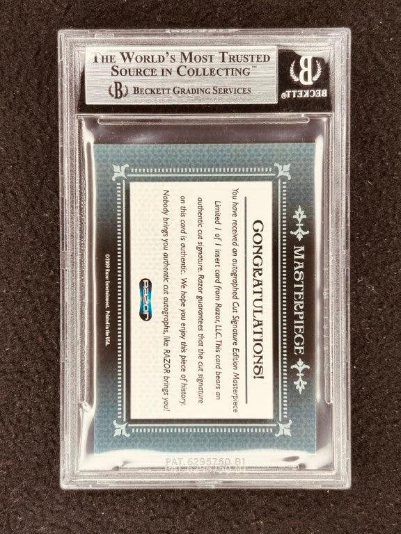 Amber Tamblyn 2009 Razor Leaf Masterpiece Cut Signature certified signed card 1/1 Joan of Arcadia - AutographsForSale.com