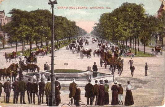 Grand Boulevard Chicago vintage 1900s color postcard - AutographsForSale.com
