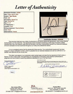 Tiger Woods autograph framed 2019 Masters Champ Sports Illustrated cover JSA - AutographsForSale.com