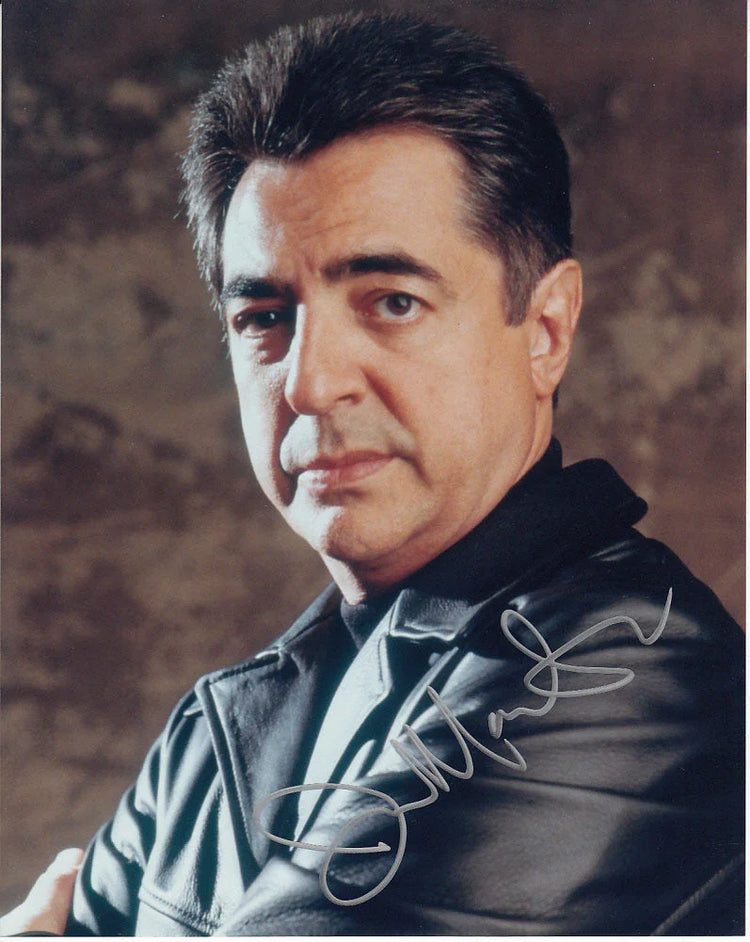 Joe Mantegna autographed 8x10 portrait photo - AutographsForSale.com