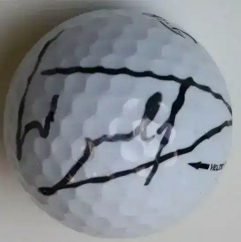 ff8adeaee07390736ee8c7c8c53ef965 - AutographsForSale.com