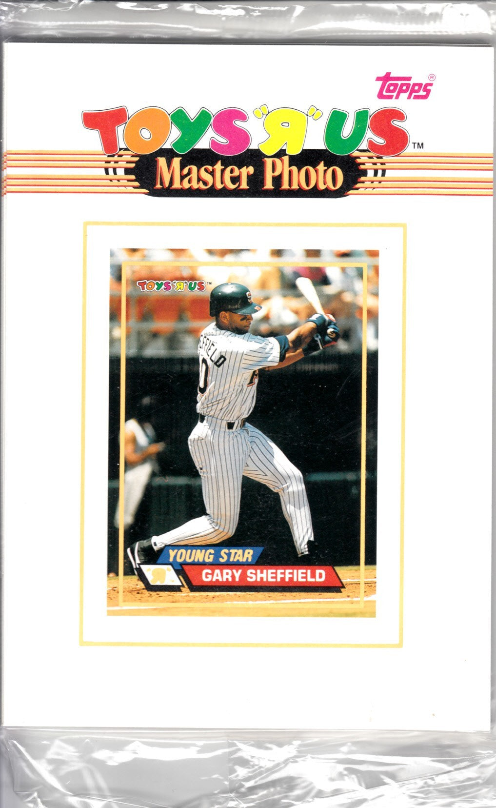 1993 Stadium Club Toys R Us 5x7 Master Photo 12 card set (Ken Griffey Jr. Ivan Rodriguez Frank Thomas)